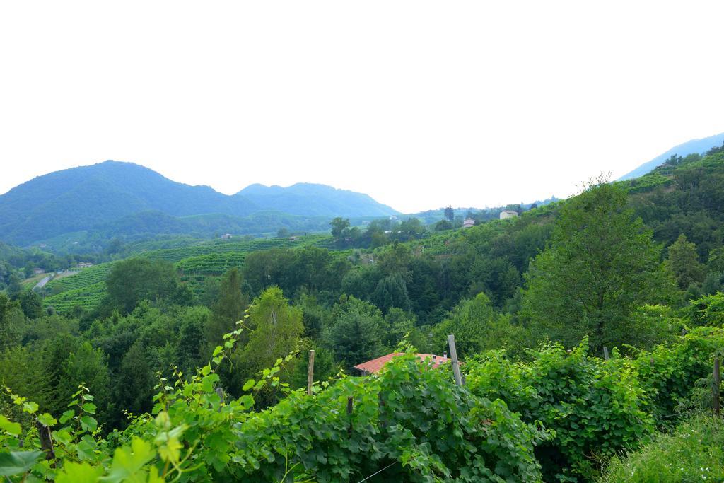 B&B Casa Di Campagna Miane Rum bild
