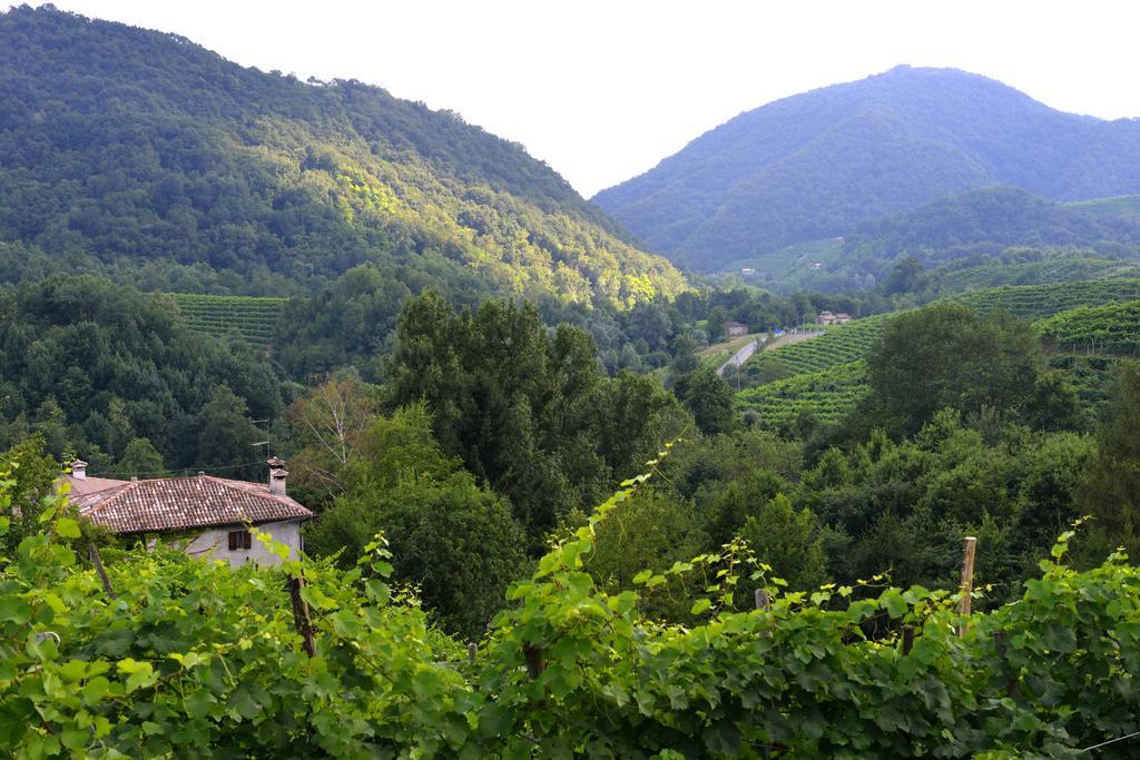 B&B Casa Di Campagna Miane Rum bild